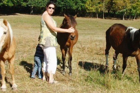 Un refuge pour les chevaux condamn&eacute;s - SudOuest.fr | Cheval et Nature | Scoop.it