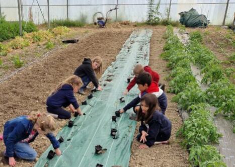 100 % bio et local pour la cantine scolaire de Lagraulet-du-Gers (32) | Energy Transition in Europe | www.energy-cities.eu | Scoop.it
