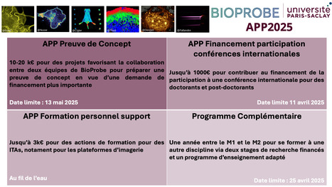 AAP Preuve de concept 2025 de BioProbe => date limite: 13 mai 2025 ! | Life Sciences Université Paris-Saclay | Scoop.it