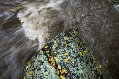 In the future, doctors may tell you take two &lsquo;doses of nature&rsquo; and call in the morning | Biodiversit&eacute; | Scoop.it