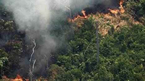 Brasil cierra la cita del clima con su imagen dañada por el fuego en la Amazonía | Ordenación del Territorio | Scoop.it