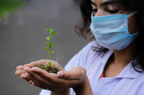 FRANCE: Les incroyables capacit&eacute;s des PLANTES scrut&eacute;es par les chercheurs | CIHEAM Press Review | Scoop.it