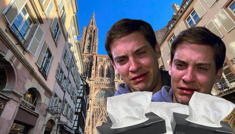 Pollens &agrave; Strasbourg : on prend d&eacute;j&agrave; cher en f&eacute;vrier, et c'est que le d&eacute;but | Strasbourg Eurom&eacute;tropole Actu | Scoop.it