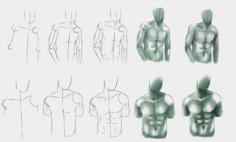 Muscular Male Body Drawing Reference - Douga Wallpaper