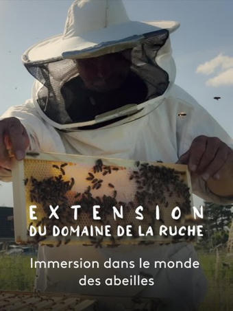 Direct - France 3 Nord Pas De Calais | Nature en ville | Scoop.it
