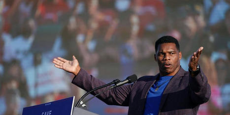 'Unparalleled in its audacity': Herschel Walker scammed more than $500,000 from billionaire donor - RawStory.com | Backstabber Watch | Scoop.it