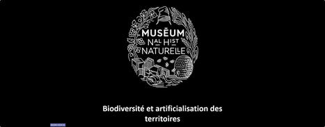 Séminaire MNHN - Biodiversité et artificialisation des territoires | Regards croisés sur la transition écologique | Scoop.it