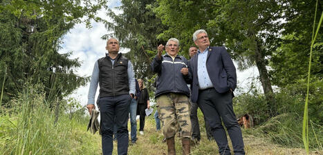 FORÊT CORRÉZIENNE. Un outil de télédétection pour enfin y voir clair sur les coupes rases  | Télédétection veille IST INRAE & AgroParisTech | Scoop.it
