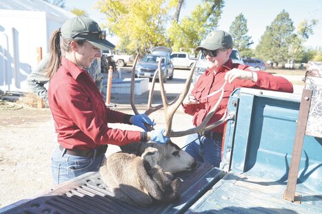 McCampbell named WGFD’s Wheatland wildlife biologist | Industry 411 - Waste Management | Scoop.it