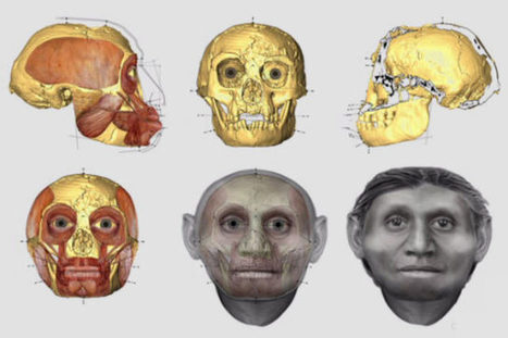 Face-to-Face with Homo Floresiensis | Amazing Science | Scoop.it