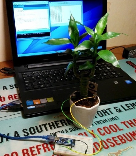 Arduino Powered Moisture Detection #makereducation | Raspberry Pi | Scoop.it