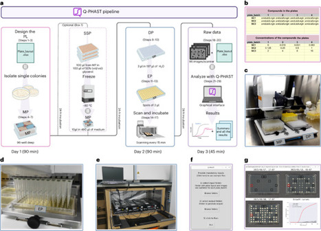 Simple large-scale quantitative phenotyping and antimicrobial susceptibility testing with Q-PHAST | Npc | RMH | Scoop.it