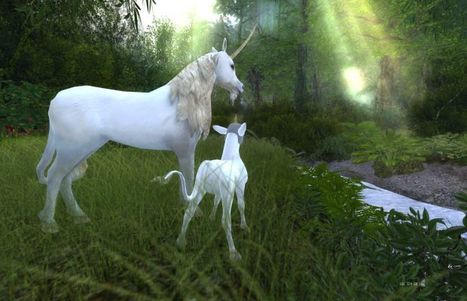 Lost Unicorn, Faerie Tale - Second life | Second Life Destinations | Scoop.it