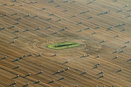 L'ACCAPAREMENT de terres et la concentration foncière menacent-ils l’agriculture et les campagnes françaises ? | URBANmedias | Scoop.it