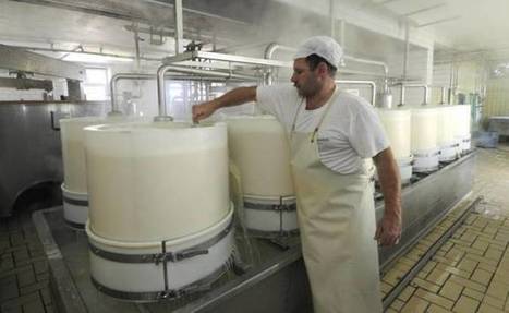 Algérie : 20% des laiteries travaillent à pleine capacité | Lait de Normandie... et d'ailleurs | Scoop.it