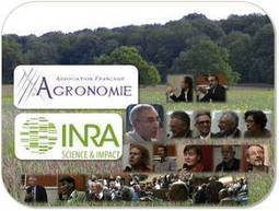 L&rsquo;Agronomie, de la question du retournement des prairies &agrave; celle de la r&eacute;duction d&rsquo;usage des pesticides : itin&eacute;raires de recherche et d&eacute;veloppement | Economie Responsable et Consommation Collaborative | Scoop.it
