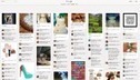 Does Google Have An Interest In Pinterest? via TechCrunch | information analyst | Scoop.it