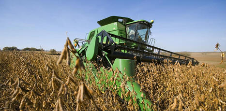 US: How soybeans took over the diet &ndash; without anyone noticing | AM&Eacute;RIQUES | Scoop.it
