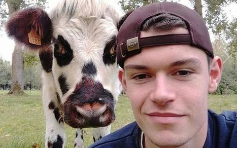 Réseaux sociaux : "sortir de l’entre-soi et des polémiques", Actualités générales - Pleinchamp | Agriculture et communication positive | Scoop.it