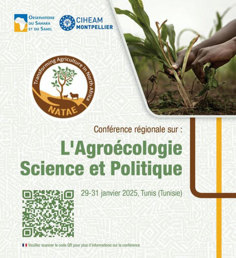 The Regional Conference on Agroecology: Science and Policy. January 29 - 31, 2025 in TUNISIA. | CIHEAM Press Review | Scoop.it