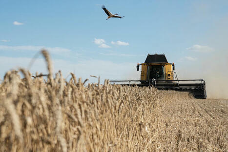 WAR IN UKRAINE: Ukraine hits $24.5 billion in agro-exports, nearing pre-war levels | CONFLIT RUSSO-UKRAINIEN | Scoop.it