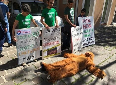 Écoplanète | Bioraffinerie de La Mède - Total et l'huile de palme : les associations pas convaincues | La Provence | Huiles végétales | Scoop.it
