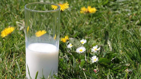 Prix en légère baisse et hausse des charges pour le lait bio | Economie de l'Elevage | Scoop.it