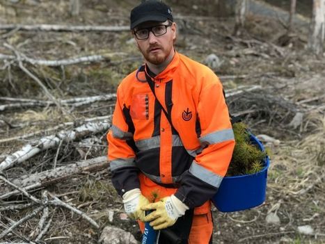 20 000 askelta ja raivaussaha – entinen kiekkoilija, maailmanmatkaaja Marko Ahonen luuli olevansa kovassa tikissä, kunnes ryhtyi metsuriksi | Yle Uutiset | yle.fi | 1Uutiset - Lukemisen tähden | Scoop.it