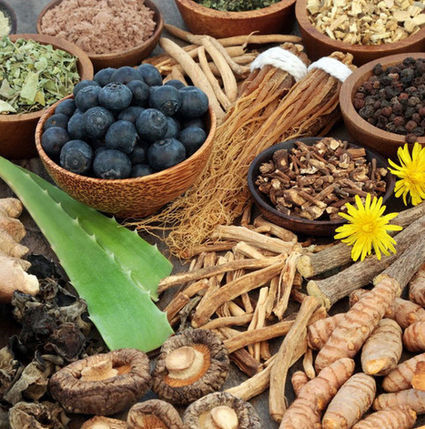 Plantes adaptogènes, un coup de boost venu de la nature | Actalia Innovation | AGROALIMENTAIRE | Scoop.it