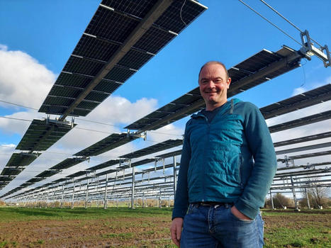 Normandie. Cet éleveur fait pâturer ses vaches sous 5 192 panneaux photovoltaïques | Actualité Bétail | Scoop.it