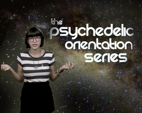 So, You're Thinking of Doing Psychedelics? | Ayahuasca News | Scoop.it