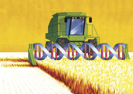 How Monsanto Is Terrifying the Farming World - The Devil in The Seeds Of Life | YOUR FOOD, YOUR ENVIRONMENT, YOUR HEALTH: #Biotech #GMOs #Pesticides #Chemicals #FactoryFarms #CAFOs #BigFood | Scoop.it