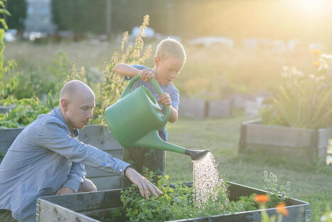 Europe&rsquo;s heatwave cities: lessons from Estonia&rsquo;s fight to keep cool | Energy Transition in Europe | www.energy-cities.eu | Scoop.it