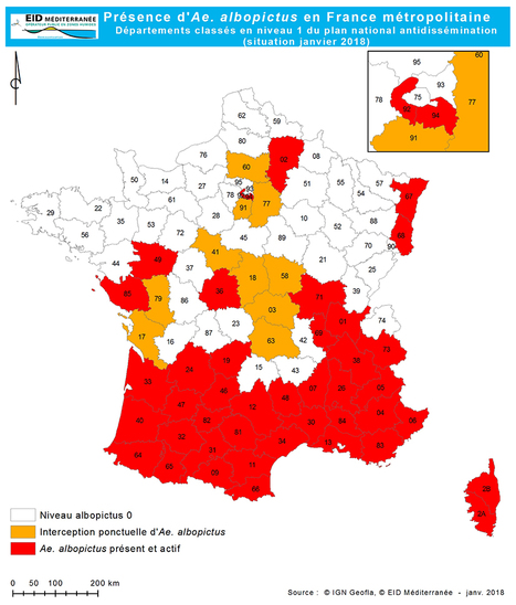 Chikungunya, dengue, zika : le moustique vecteur de ces maladies est sous surveillance du 1er mai au 30 novembre en métropole | EntomoNews | Scoop.it