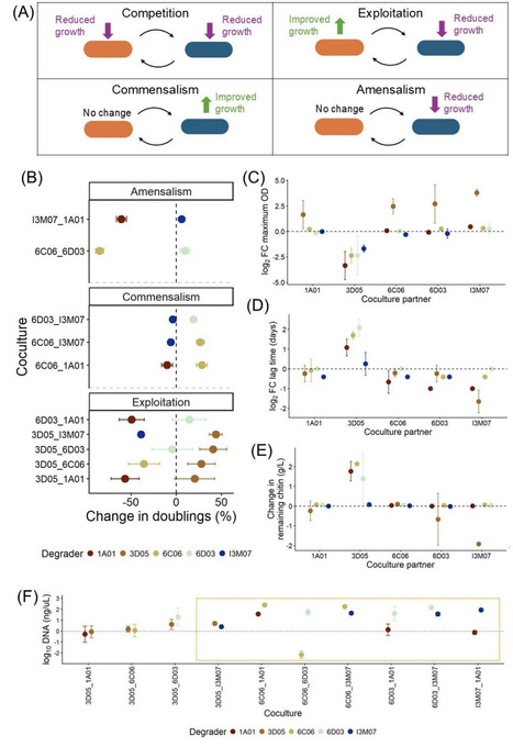 Negative and neutral interactions are prevalent in interactions between marine chitin degraders | brveco | RMH | Scoop.it