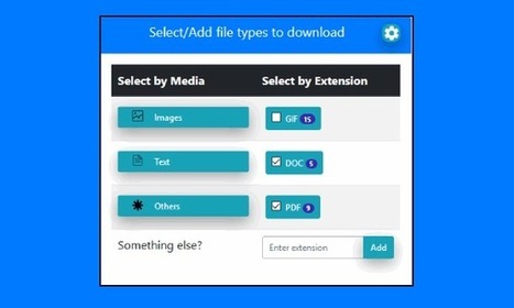Firefox Add-on to Download MP3, PDF, JPG, TXT Files from a Webpage | DIGITAL LEARNING | Scoop.it