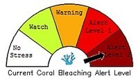 NOAA Coral Reef Watch Daily 5km Satellite Coral Bleaching Heat Stress Monitoring Products (Version 3.1) | Galapagos | Scoop.it