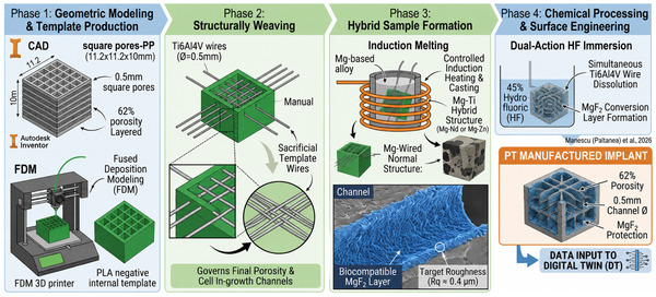 Gemini-Augmented Digital Twin Framework for Biodegradable Mg-Based Implants: A Proof-of-Concept for Multi-Domain Design Integration | Interventional Cardiology | Scoop.it