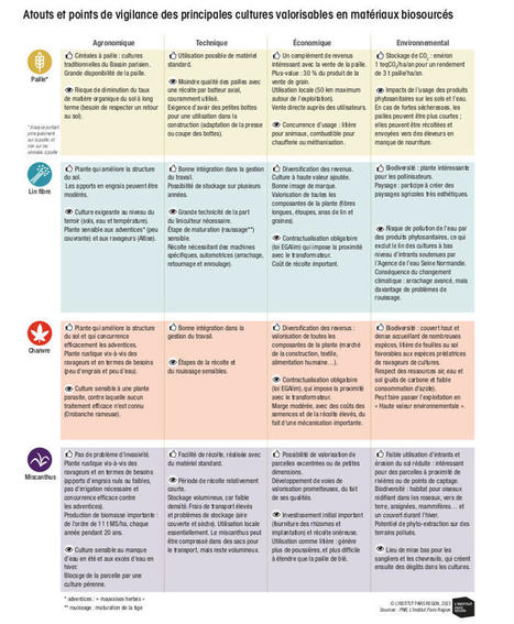 Cultures valorisées en matériaux biosourcés : le premier pas vers une bioéconomie en Île-de-France ? - Institut Paris Région | Veille "Villes de demain" | Scoop.it