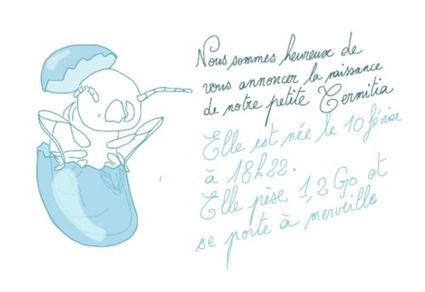 Notre serious game Termitia enfin disponible en téléchargement ! | Seriousgamethèque | Scoop.it