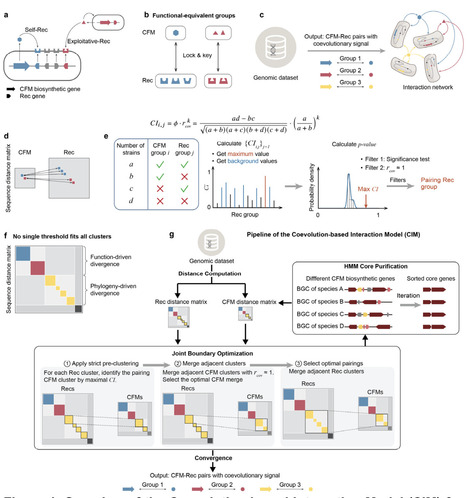 Coevolution-driven reconstruction of multi-taxa siderophore interaction networks reveals topological diversity of microbial exploitation | brveco | RMH | Scoop.it
