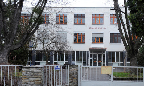 &Ouml;sterreich: Eltern wehren sich gegen Abschaffung der Sonderschule | Schulische Inklusion | Scoop.it