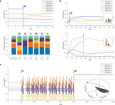 Keystone concept revisited: insights into microbial community dynamics and control | Nrm | RMH | Scoop.it