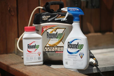 Bayer Appeal to Dismiss Roundup Weedkiller Lawsuits Rejected by U.S. Supreme Court - EcoWatch.com | Agents of Behemoth | Scoop.it