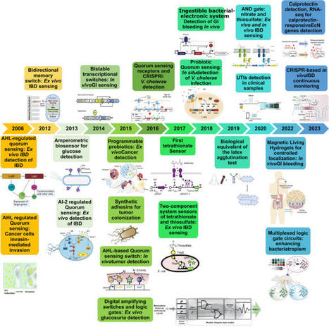 Engineered live bacteria as disease detection and diagnosis tools | Jbe | RMH | Scoop.it