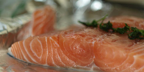 L'autorisation d'un saumon transgénique fait débat aux Etats-Unis | Questions de développement ... | Scoop.it