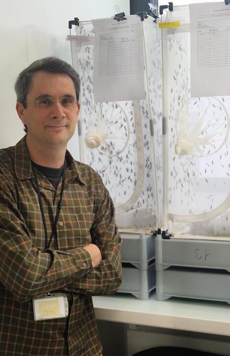 Il travaille &agrave; l&rsquo;IDEEV : Jonathan Fil&eacute;e, charg&eacute; de recherche &agrave; EGCE &ndash; &laquo; Du labo &agrave; la p&ecirc;che, quelle mouche le pique ? &raquo; | Life Sciences Universit&eacute; Paris-Saclay | Scoop.it