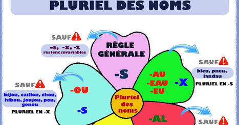 J'aime la langue française: Le pluriel des noms ( exercices ) | FLE CÔTÉ COURS | Scoop.it