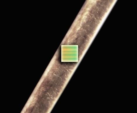 As Gadgets Shrink, ARM Still Reigns As Processor King - Forbes | Wearable Tech and the Internet of Things (Iot) | Scoop.it