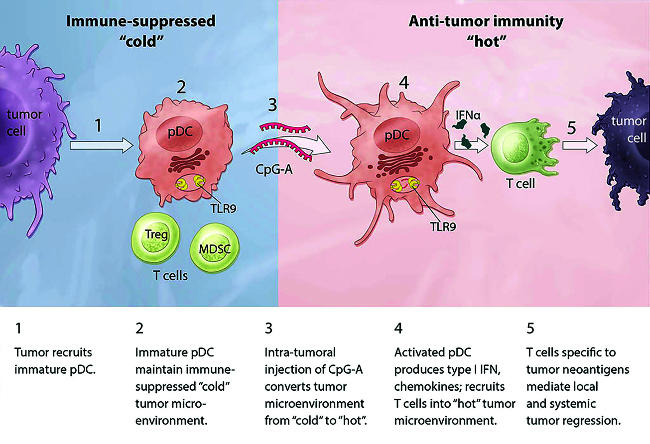 Supplement: Circumventing Cancer Cells’ D...